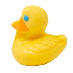 Yellow Sitting Duck 24/1oz