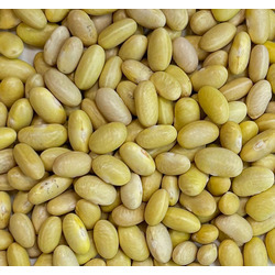 Mayocoba Beans 20lb
