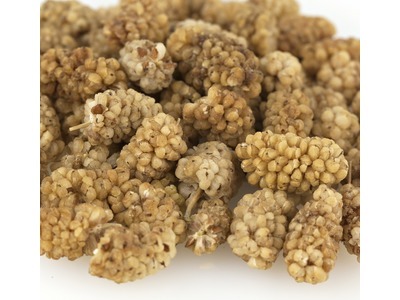 White Mulberries 27.5 lbs.