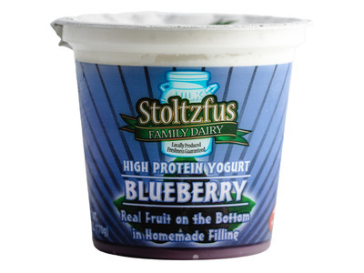 Blueberry Yogurt 6/6oz