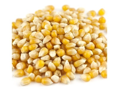 Yellow Popcorn 50lb