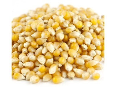 Tiny Kernel Popcorn 50lb