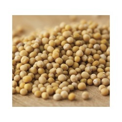 Mustard Seeds #1 5lb